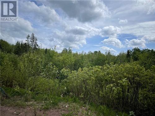 Lot Saint-Athanase, Rogersville, NB 