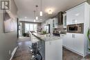 130 3229 Elgaard Drive, Regina, SK  - Indoor Photo Showing Kitchen With Upgraded Kitchen 