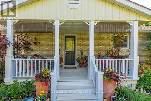 184 Elmwood Drive, Belleville, ON - Outdoor With Deck Patio Veranda