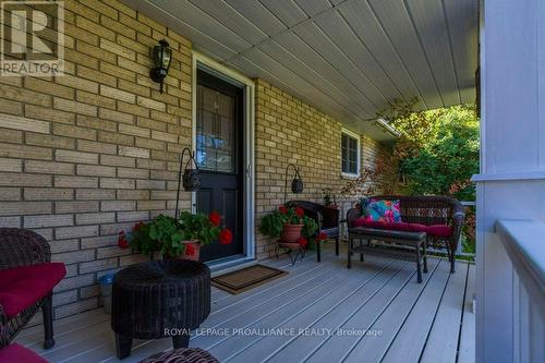 184 Elmwood Drive, Belleville, ON - Outdoor With Deck Patio Veranda With Exterior
