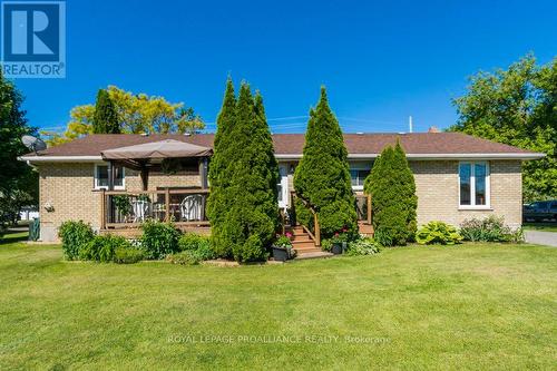 184 Elmwood Drive, Belleville, ON - Outdoor