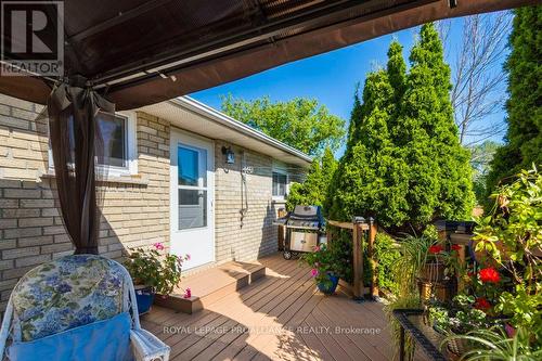 184 Elmwood Drive, Belleville, ON - Outdoor With Deck Patio Veranda With Exterior