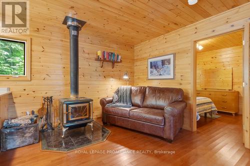 1091 Lindey Lane, North Frontenac, ON - Indoor Photo Showing Living Room With Fireplace