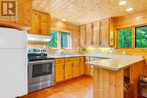 1091 Lindey Lane, North Frontenac, ON - Indoor Photo Showing Kitchen With Double Sink