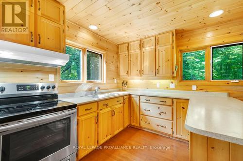 1091 Lindey Lane, North Frontenac, ON - Indoor Photo Showing Kitchen With Double Sink