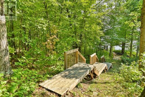 1091 Lindey Lane, North Frontenac, ON - Outdoor