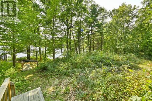 1091 Lindey Lane, North Frontenac, ON - Outdoor