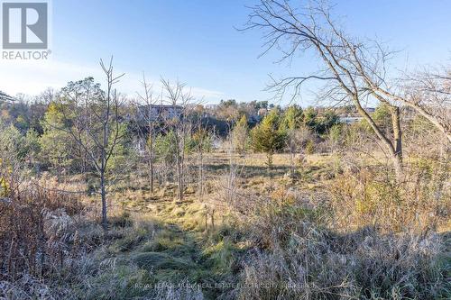 66 Auburn Street, Peterborough, ON - Outdoor With View