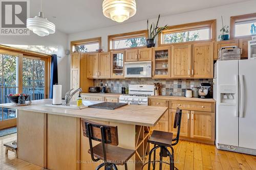 66 Auburn Street, Peterborough, ON - Indoor Photo Showing Kitchen