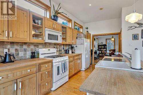 66 Auburn Street, Peterborough, ON - Indoor Photo Showing Kitchen With Double Sink