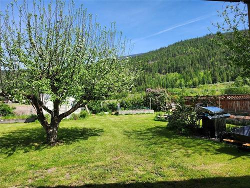 1217 Green Road, Sicamous, BC - Outdoor