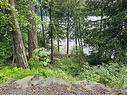 3712 Horne Lake Caves Rd, Qualicum Beach, BC 