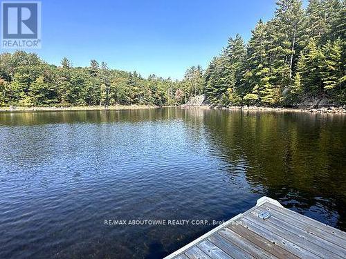 20 - 1579 Anstruther Lake Road, North Kawartha, ON - Outdoor With Body Of Water With View