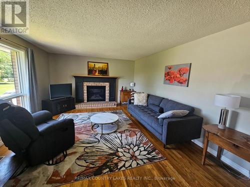 84 Pinewood Boulevard, Kawartha Lakes, ON - Indoor Photo Showing Living Room With Fireplace