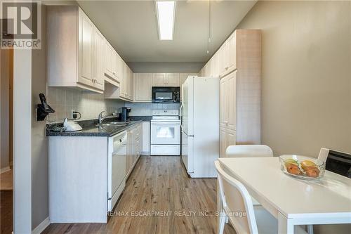 208 - 2075 Amherst Heights Drive, Burlington, ON - Indoor Photo Showing Kitchen