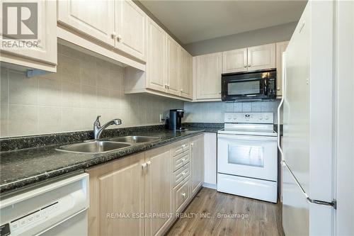 208 - 2075 Amherst Heights Drive, Burlington, ON - Indoor Photo Showing Kitchen With Double Sink