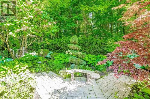 30 Carriage House Court, Richmond Hill, ON - Outdoor