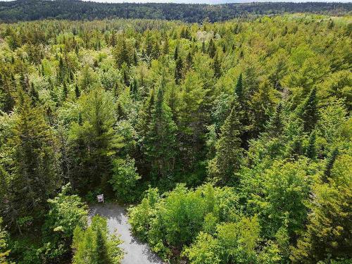 Lady Slipper Lane, Mount Uniacke, NS 