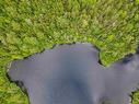 Lady Slipper Lane, Mount Uniacke, NS 