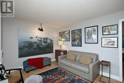 110 - 111 Bristol Road E, Mississauga (Hurontario), ON - Indoor Photo Showing Living Room