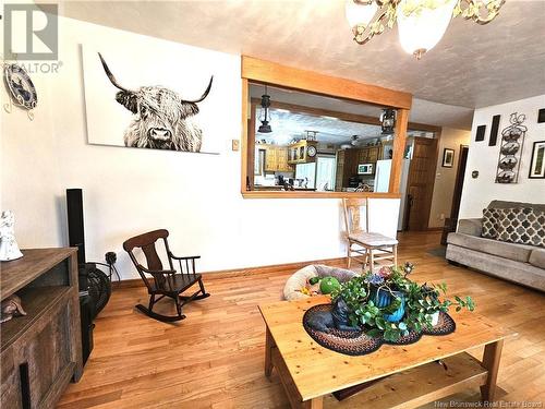 12 Colebrooke Road, Grand Falls, NB - Indoor Photo Showing Living Room