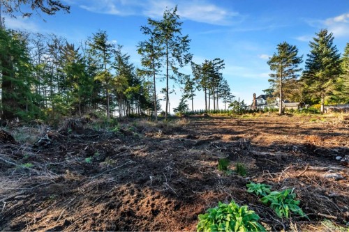 7295 Francis Rd, Sooke, BC - Outdoor With View