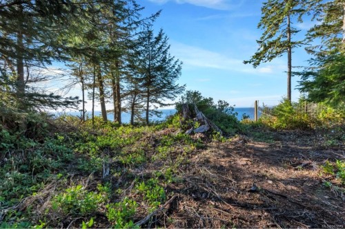 7295 Francis Rd, Sooke, BC - Outdoor With View