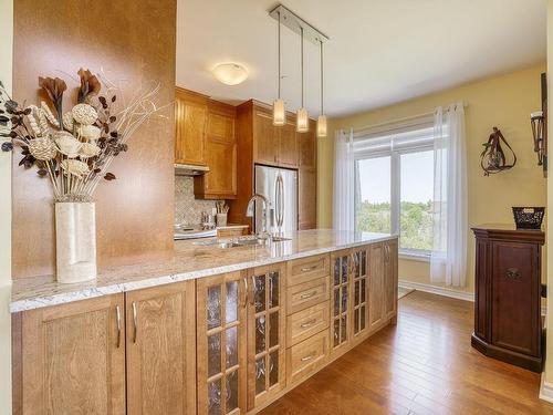 Kitchen - 706-1180 Ch. D'Aylmer, Gatineau (Aylmer), QC - Indoor Photo Showing Kitchen