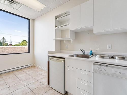 Kitchenette - 201-495  - 521 Rue Du Sud, Cowansville, QC - Indoor Photo Showing Kitchen