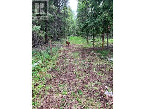 3201 Creighton Valley Road, Cherryville, BC 