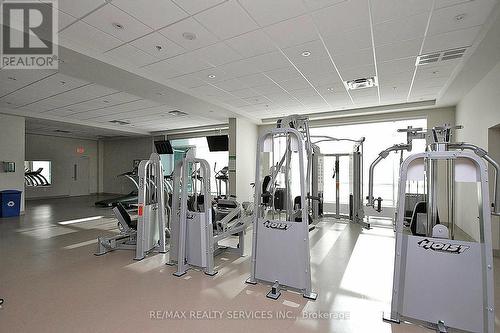 2009 - 215 Queen Street E, Brampton, ON - Indoor Photo Showing Gym Room