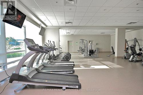 2009 - 215 Queen Street E, Brampton, ON - Indoor Photo Showing Gym Room