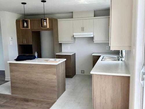 Cuisine - 78 Rue Des Récoltes, Sainte-Barbe, QC - Indoor Photo Showing Kitchen With Double Sink