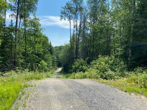 Overall view - Ch. Olivier-Paradis, Labelle, QC 