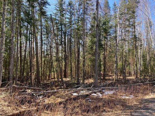 Land/Lot - Ch. Olivier-Paradis, Labelle, QC 