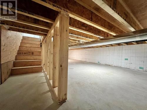 1202 Woods Lane, Enderby, BC - Indoor Photo Showing Basement