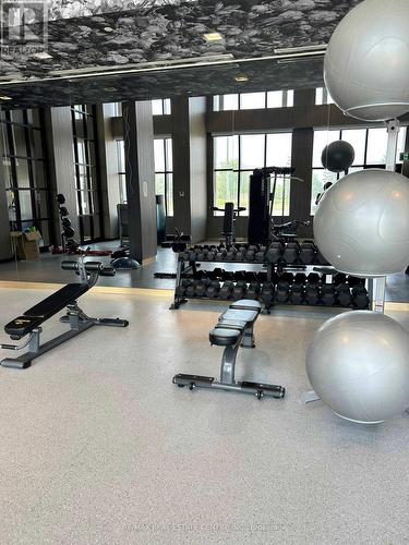 125 - 3020 Trailside Drive, Oakville, ON - Indoor Photo Showing Gym Room