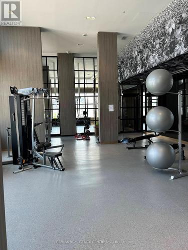 125 - 3020 Trailside Drive, Oakville, ON - Indoor Photo Showing Gym Room