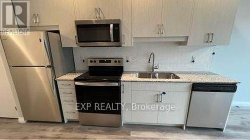 202 - 60 Charles Street, Kitchener, ON - Indoor Photo Showing Kitchen