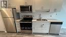 202 - 60 Charles Street, Kitchener, ON  - Indoor Photo Showing Kitchen 