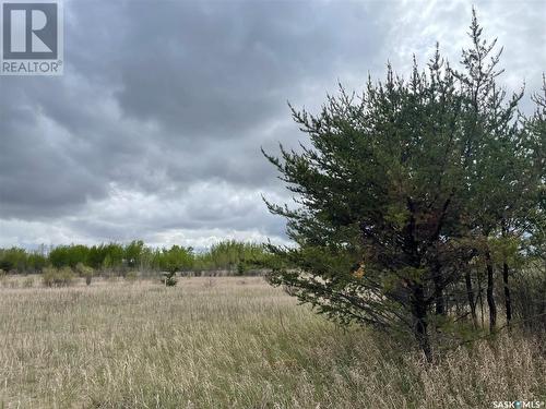 5.5Km South Of Dorintosh Lot 3, Meadow Lake Rm No.588, SK 