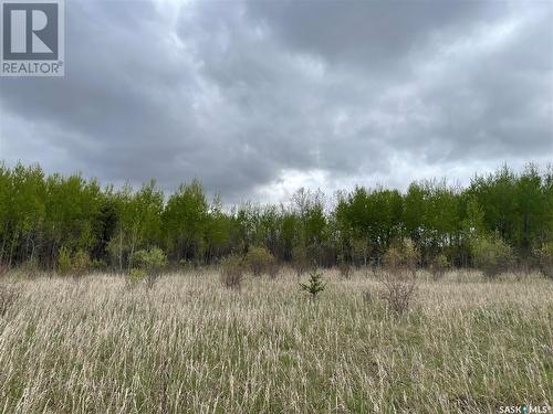 5.5Km South Of Dorintosh Lot 3, Meadow Lake Rm No.588, SK 