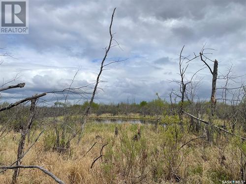 5.5Km South Of Dorintosh Lot 3, Meadow Lake Rm No.588, SK 