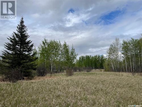 5.5Km South Of Dorintosh Lot 2, Meadow Lake Rm No.588, SK 