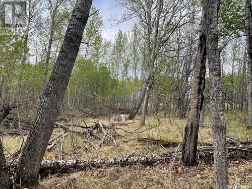 5.5Km South Of Dorintosh Lot 2, Meadow Lake Rm No.588, SK 