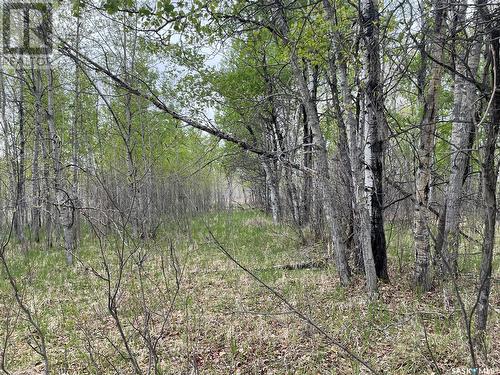 5.5Km South Of Dorintosh Lot 2, Meadow Lake Rm No.588, SK 