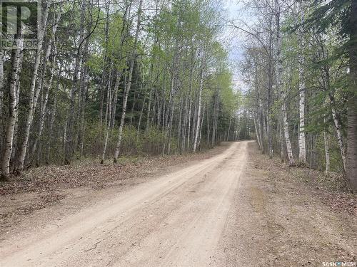 Eagles Wings Acreage, Big River Rm No. 555, SK - Outdoor With View