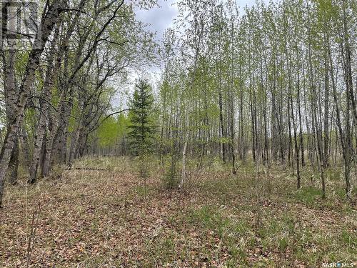 5.5Km South Of Dorintosh Lot 4, Meadow Lake Rm No.588, SK 