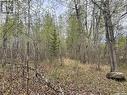 5.5Km South Of Dorintosh Lot 4, Meadow Lake Rm No.588, SK 