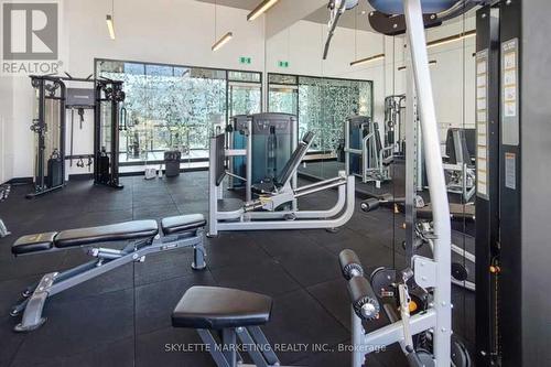 529A - 10 Rouge Valley Drive W, Markham, ON - Indoor Photo Showing Gym Room